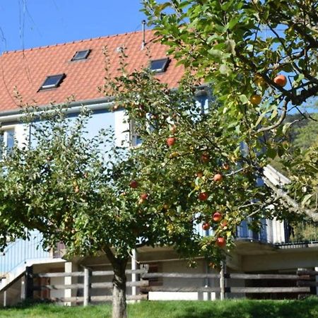 Les Locations De Stephanie ,Gite Le Verger Sondernach Exteriér fotografie