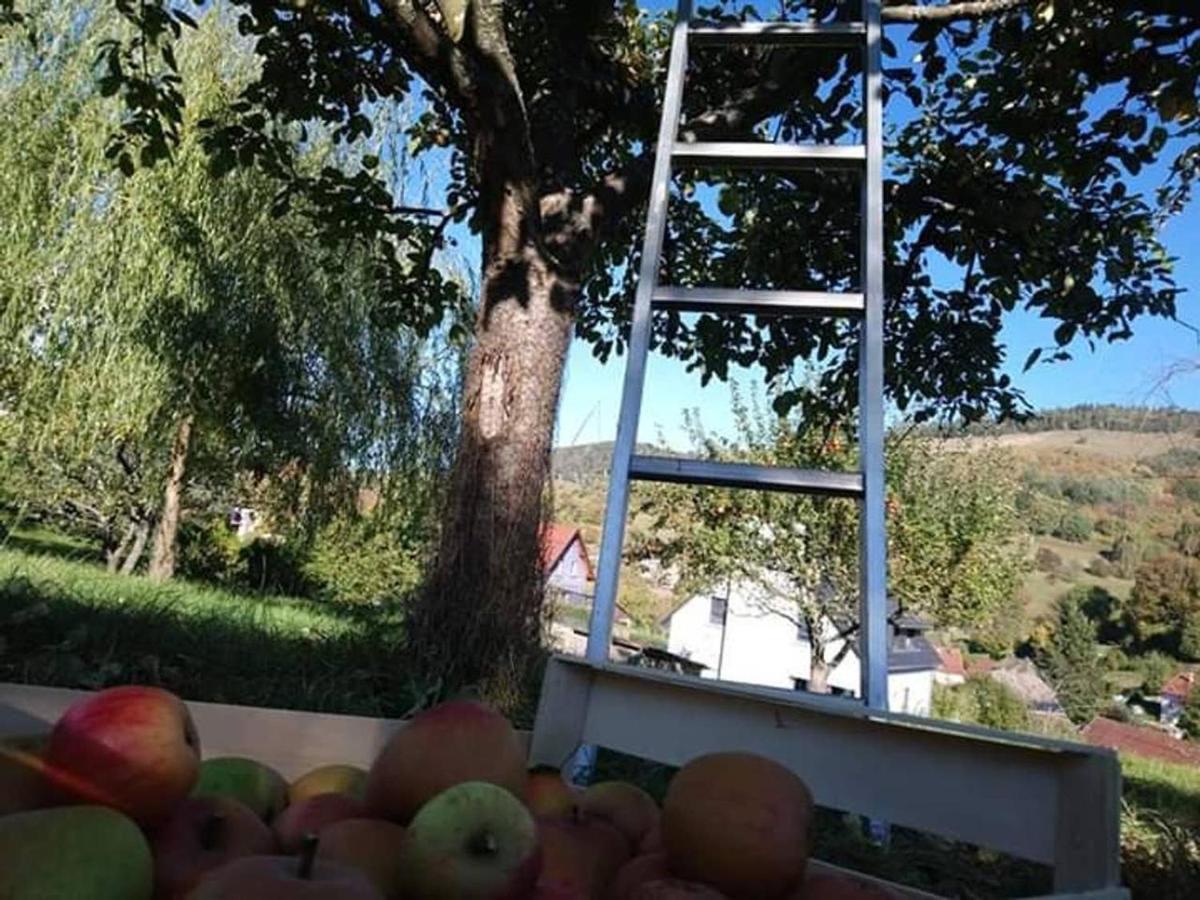 Les Locations De Stephanie ,Gite Le Verger Sondernach Exteriér fotografie