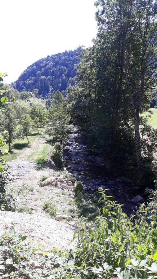 Les Locations De Stephanie ,Gite Le Verger Sondernach Exteriér fotografie