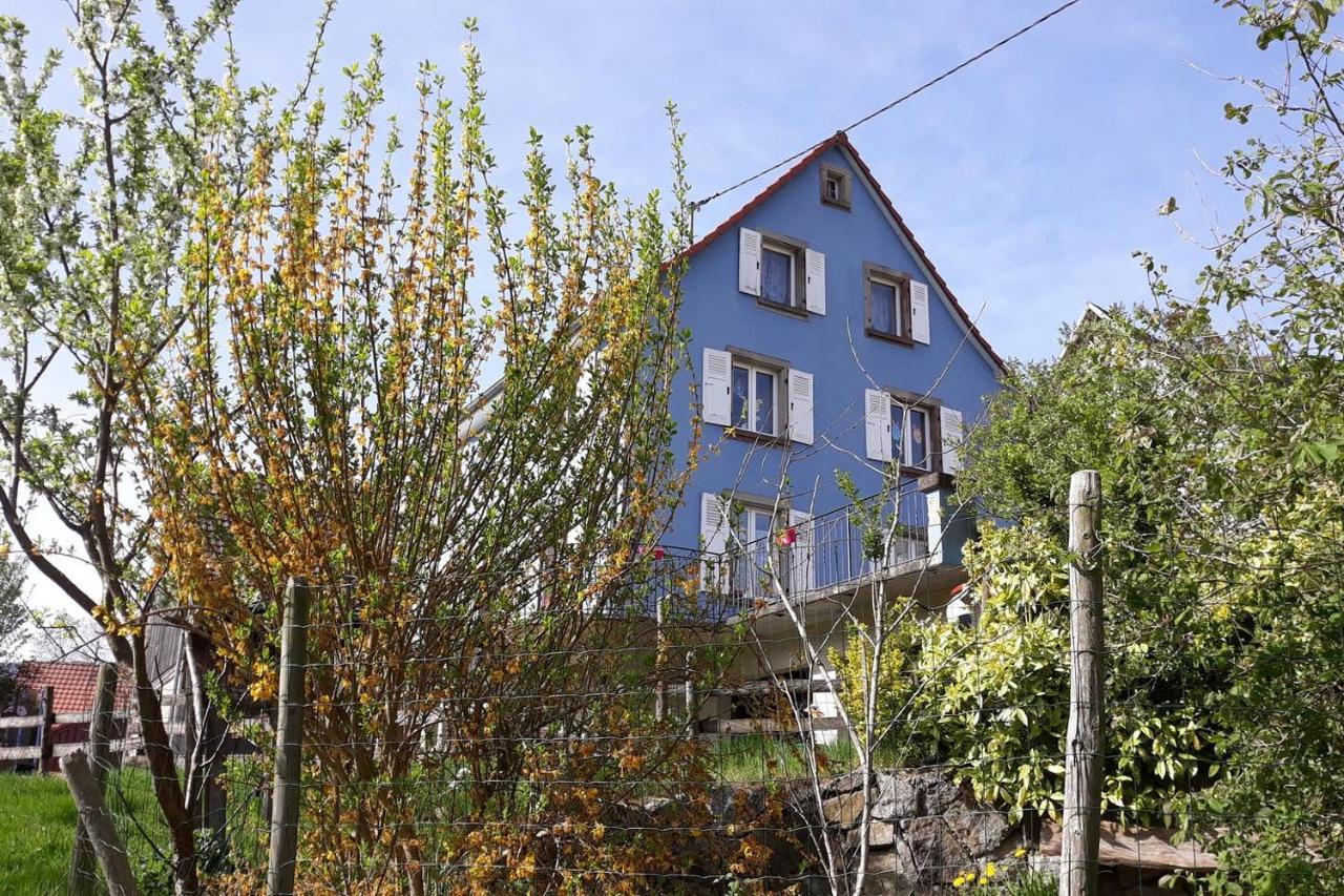 Les Locations De Stephanie ,Gite Le Verger Sondernach Exteriér fotografie