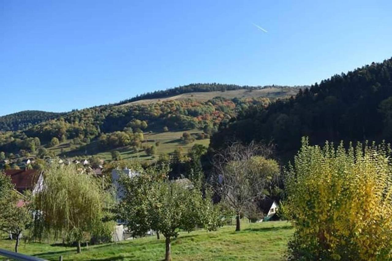 Les Locations De Stephanie ,Gite Le Verger Sondernach Exteriér fotografie