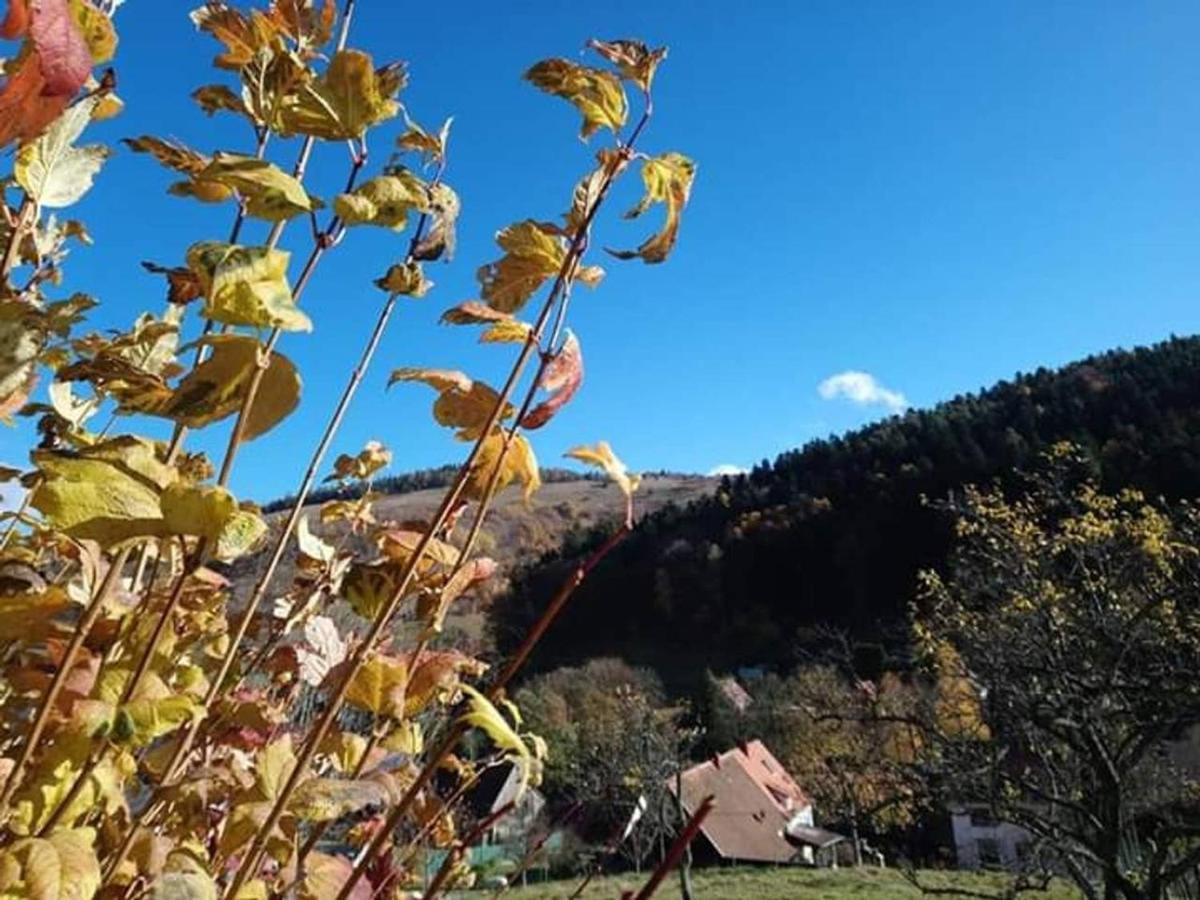 Les Locations De Stephanie ,Gite Le Verger Sondernach Exteriér fotografie