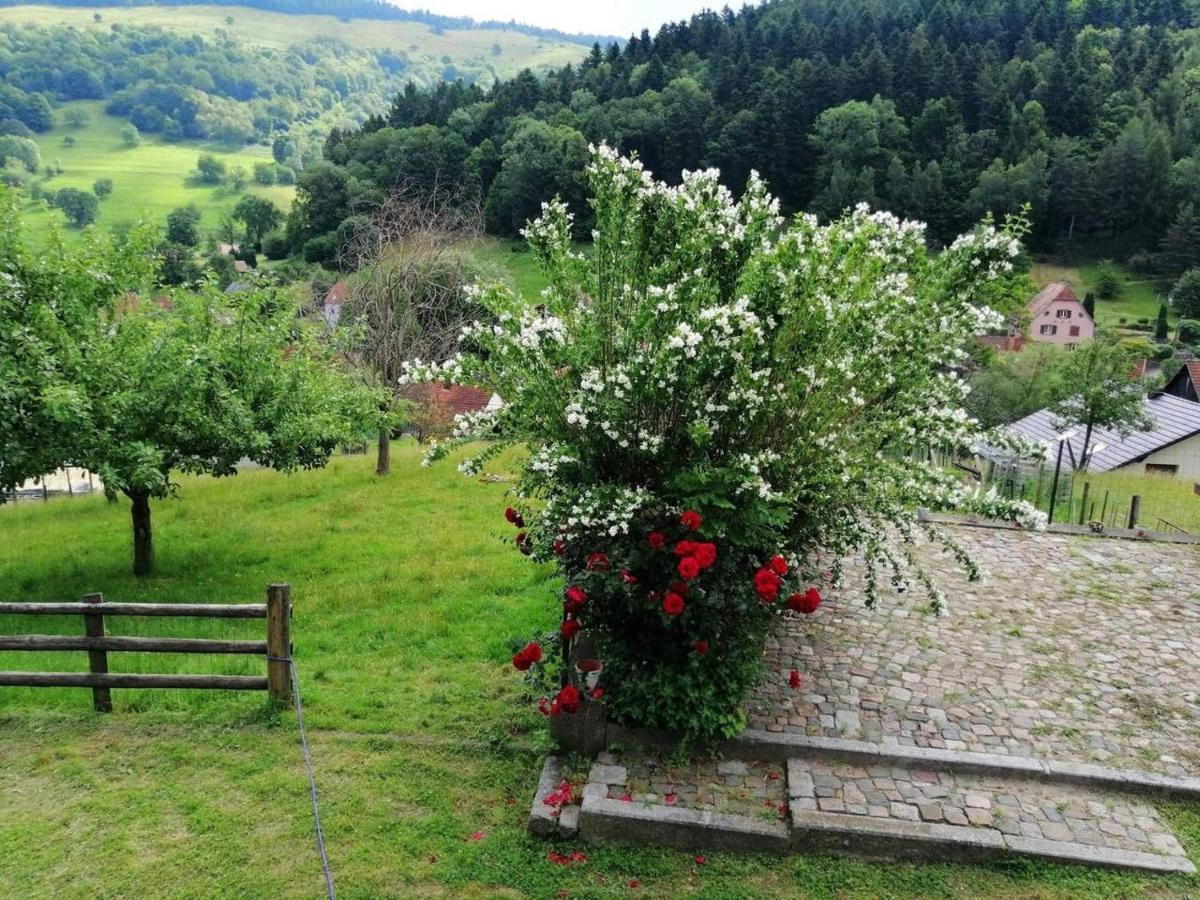 Les Locations De Stephanie ,Gite Le Verger Sondernach Exteriér fotografie