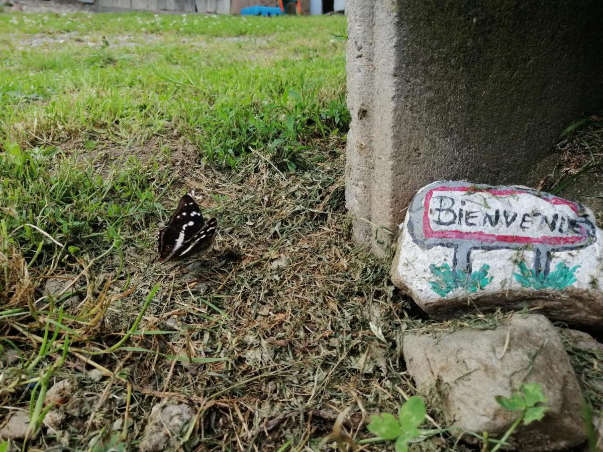 Les Locations De Stephanie ,Gite Le Verger Sondernach Exteriér fotografie