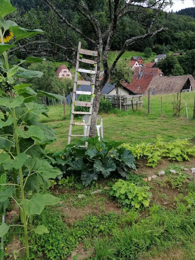 Les Locations De Stephanie ,Gite Le Verger Sondernach Exteriér fotografie