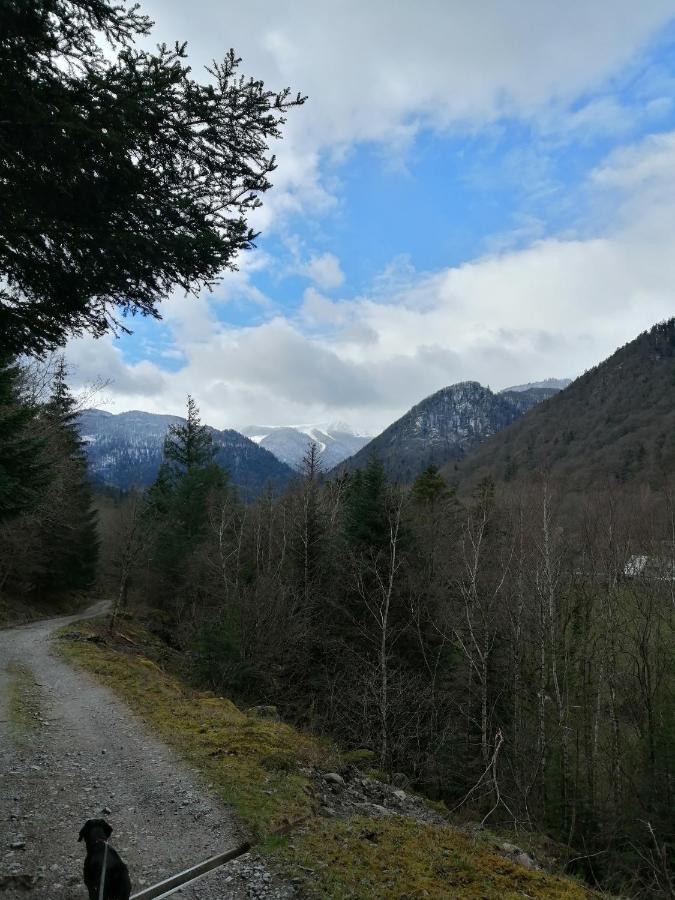 Les Locations De Stephanie ,Gite Le Verger Sondernach Exteriér fotografie